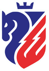 FC Botoșani