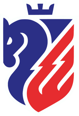 FC Botoșani